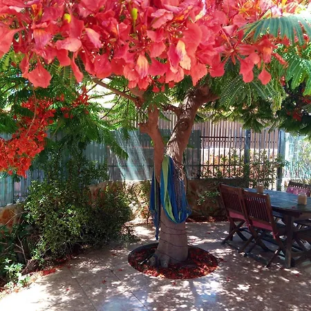 Bungalow Con Flamboyan En Maspalomas * Playa del Ingles (Gran Canaria)